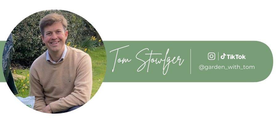 Tom Strowlger lawn care